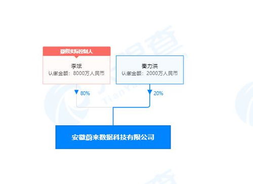 李斌投資成立蔚來數據公司，深化計算機系統集成服務布局